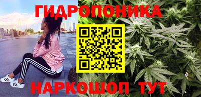 прущие крисы Можга