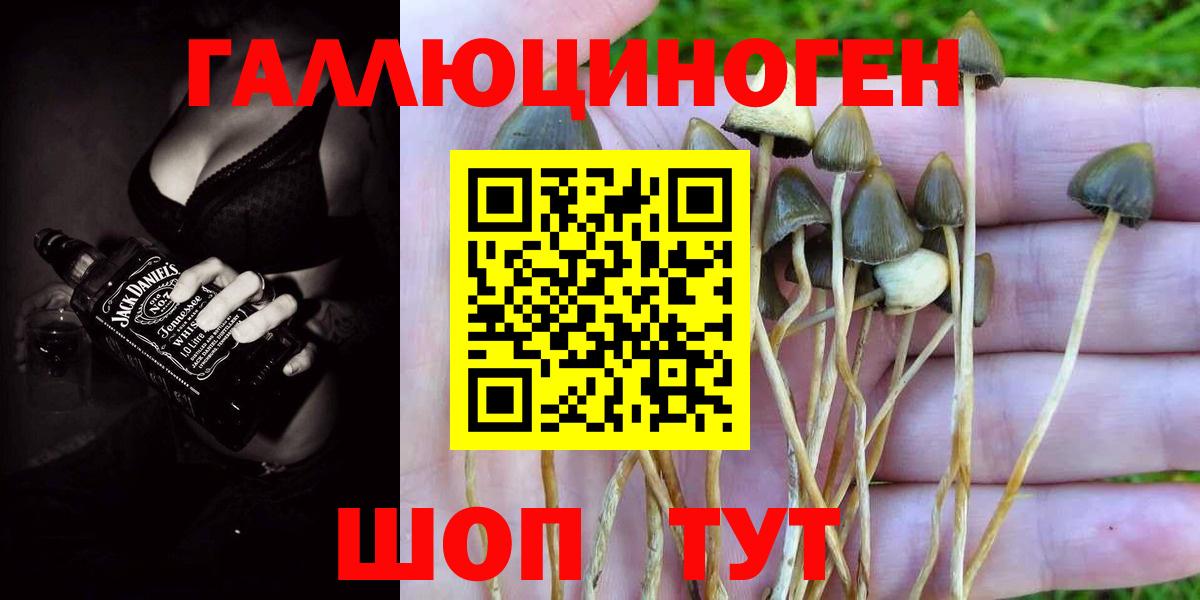 Галлюциногенные грибы Cubensis  Галлюциногенные грибы Cubensis  хочу   Вход с VPN  Великий Новгород 